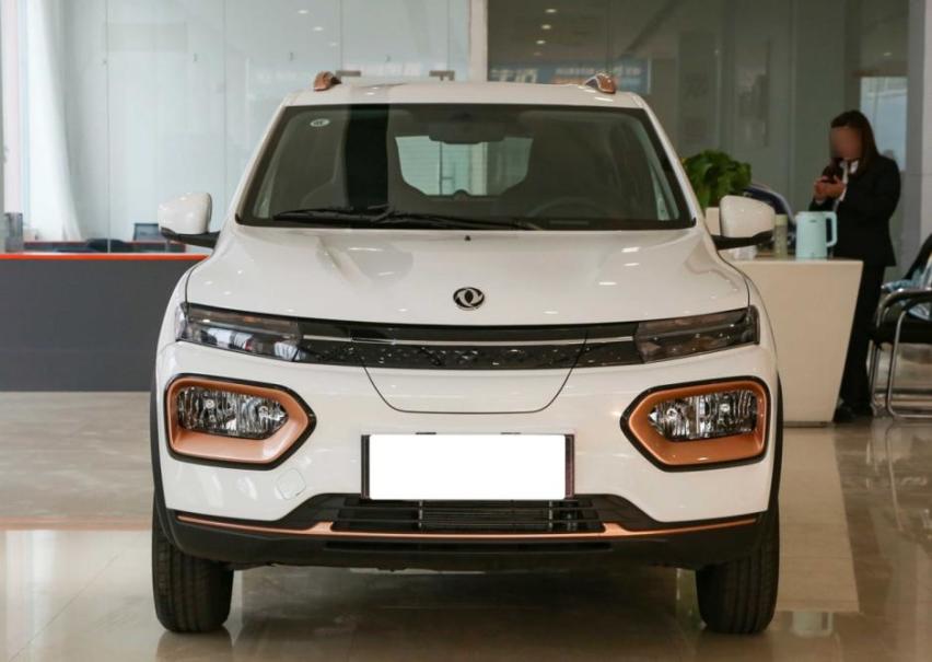 这车虽然比五菱宏光MINI EV贵，但多了两座，续航也长一些