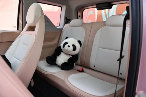 2.99万起的熊猫mini，快充出行，经济又实用！