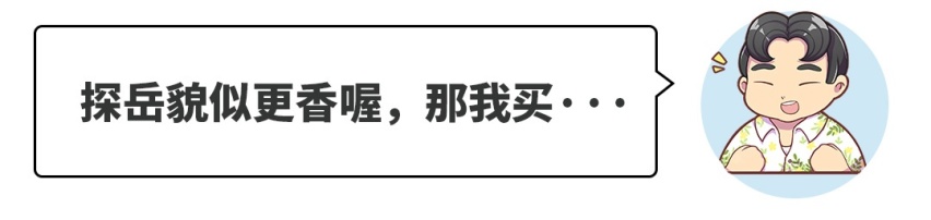 都10万预算了，不如加点钱买保时捷？