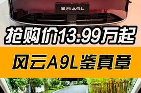 抢购价13.99万起，风云A9L上市