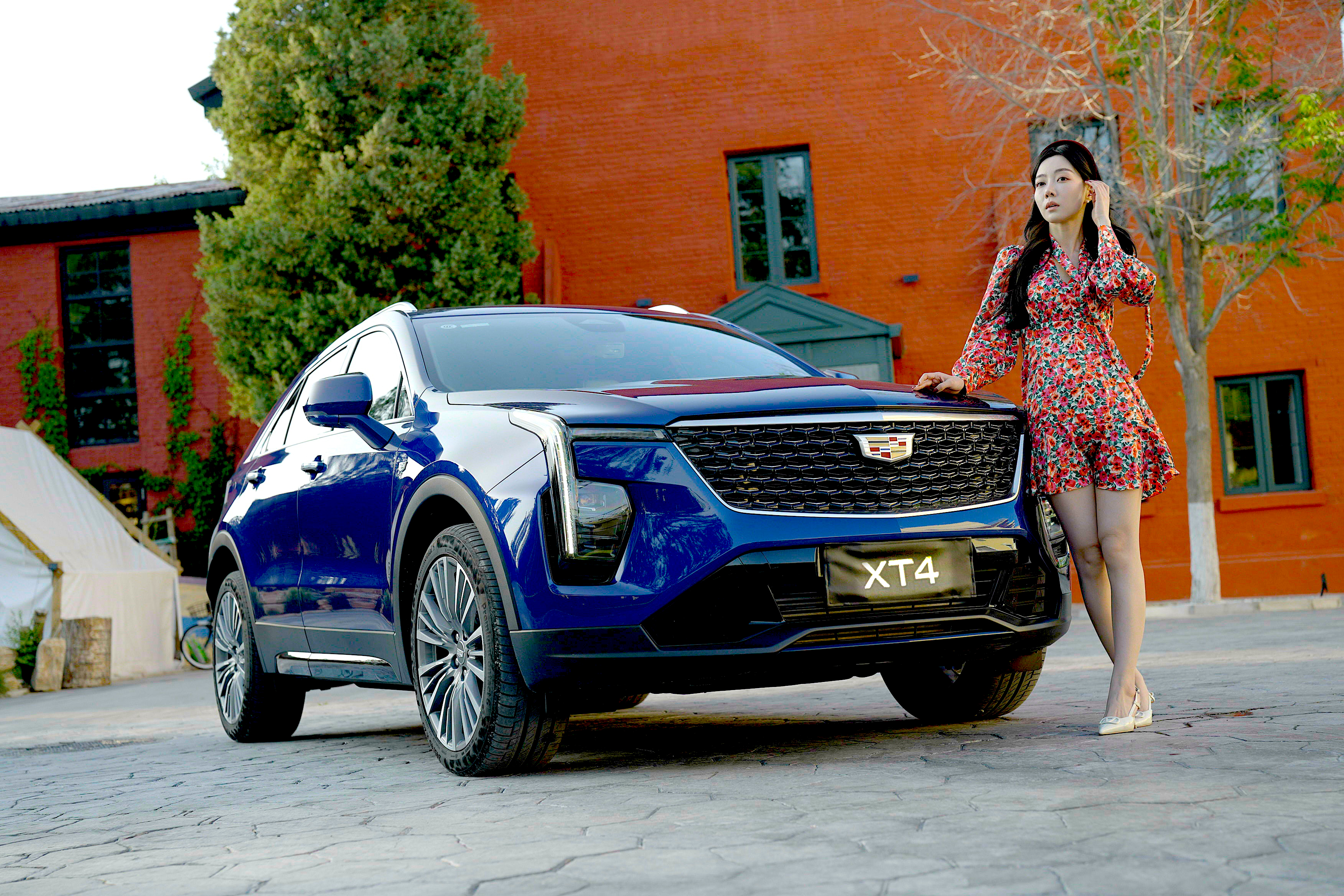 PXT4ɵ15.99fHBBAB󱊱ﶼס