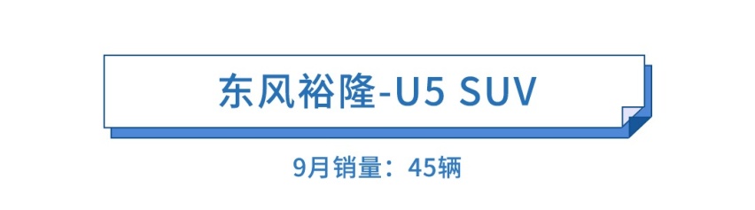 一个月才卖45辆，它却成了全村的希望…