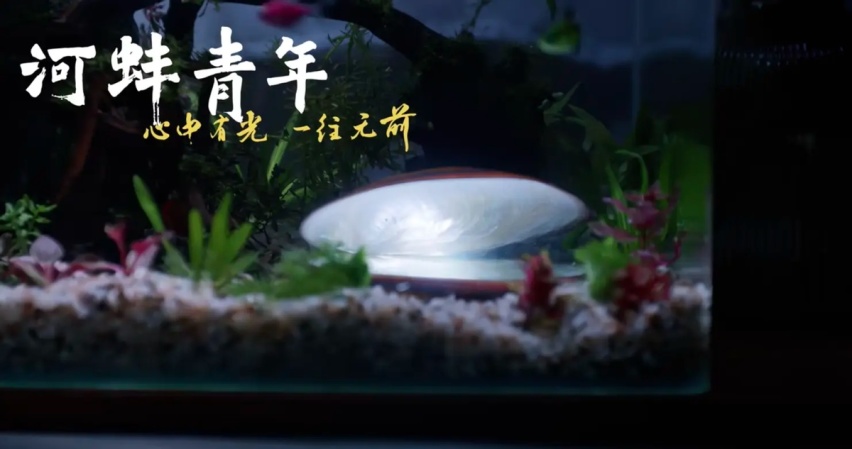 比亚迪影业公司再次“开张”，河蚌青年历险记赢得年轻人喜爱