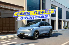 快评10月轿车市场：纯电小车霸榜，合资依旧不愁卖