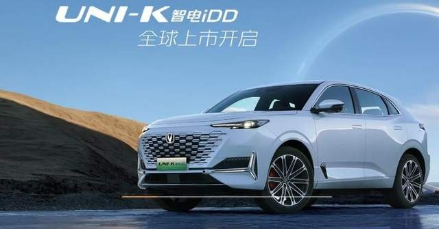 在中国“最好卖”的十大品牌：比亚迪超大众成第一，特斯拉排第四