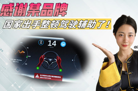 智驾可不能成为“智障”！制定高标准，国家出手了！
