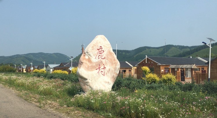 环华游记 内蒙篇：入住白狼镇鹿村，只是见鹿未见狼