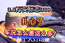 小伙花3.6万买标致308二手车，检测完车况，他们的对话扎心