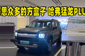 巧思众多的方盒子 哈弗猛龙PLUS