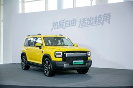 18.98万起的猛龙PLUS，才是中国家庭该有的方盒子