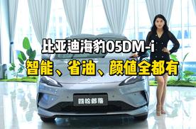 比亚迪海豹05DM-i，智能、省油、颜值全都有