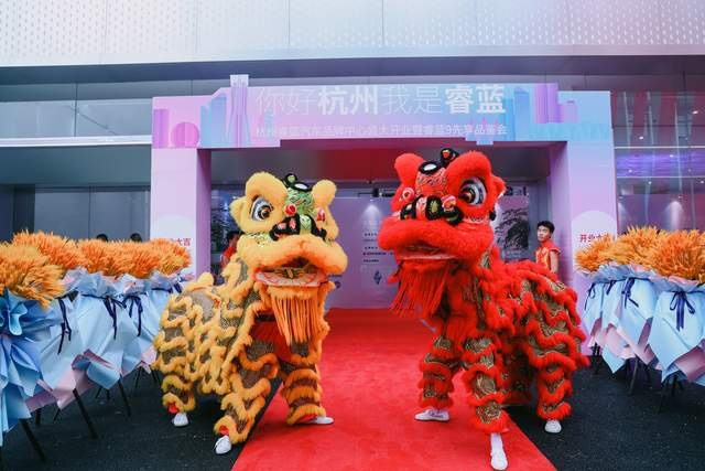 你好杭州,我是睿蓝!杭州睿蓝汽车品牌中心盛大开业