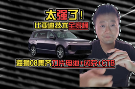 比亚迪技术全家桶，海狮08集齐刀片电池+闪充+CTB，太强了