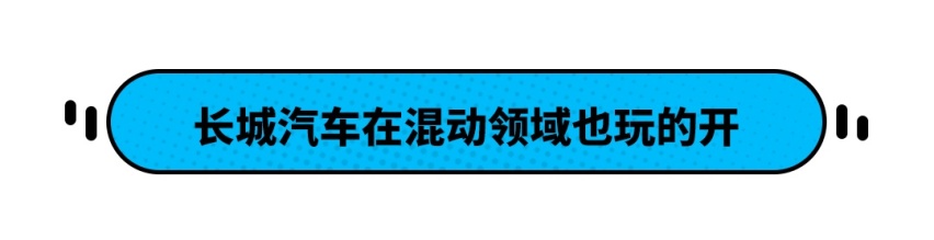 玩混动还得是国产品牌？这些中国车比合资还省钱！