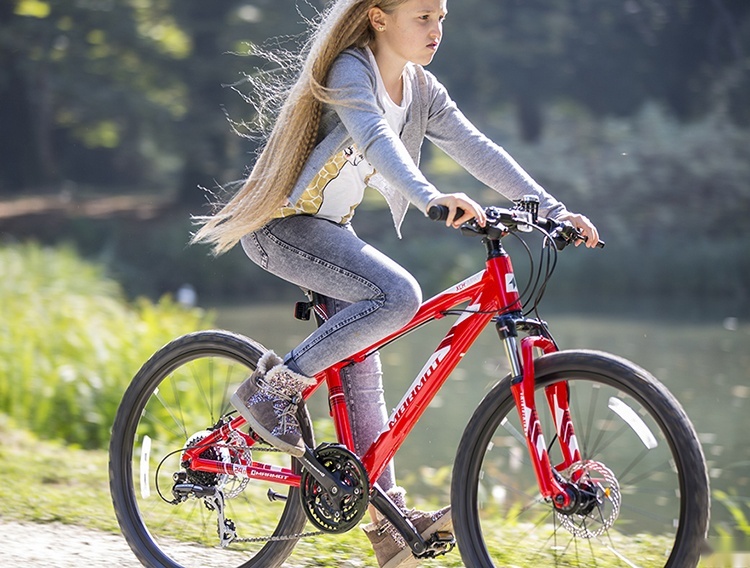2020华夏10岁至15岁童子自行车环球10大童车品牌排行榜(图6)