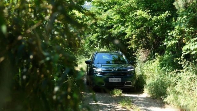 都是狠角色，RAV4荣放、探界者、天逸，谁更值得选择？
