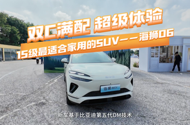 双C满配 超级体验 15级最适合家用的SUV——海狮06