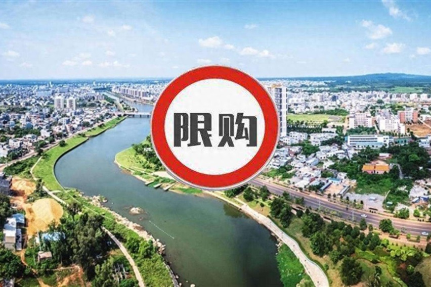 新能源限购政策继续放宽，全面放开可能不远了