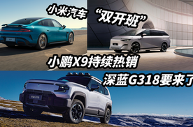 5月汽车品牌销量盘点，小米SU7“双开班”猛冲交付量