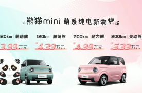 售3.99万起 微型电动车新选择 吉利熊猫mini正式上市