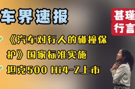 车界速报—《汽车对行人的碰撞保护》国家标准实施、坦克500 Hi4-Z上市