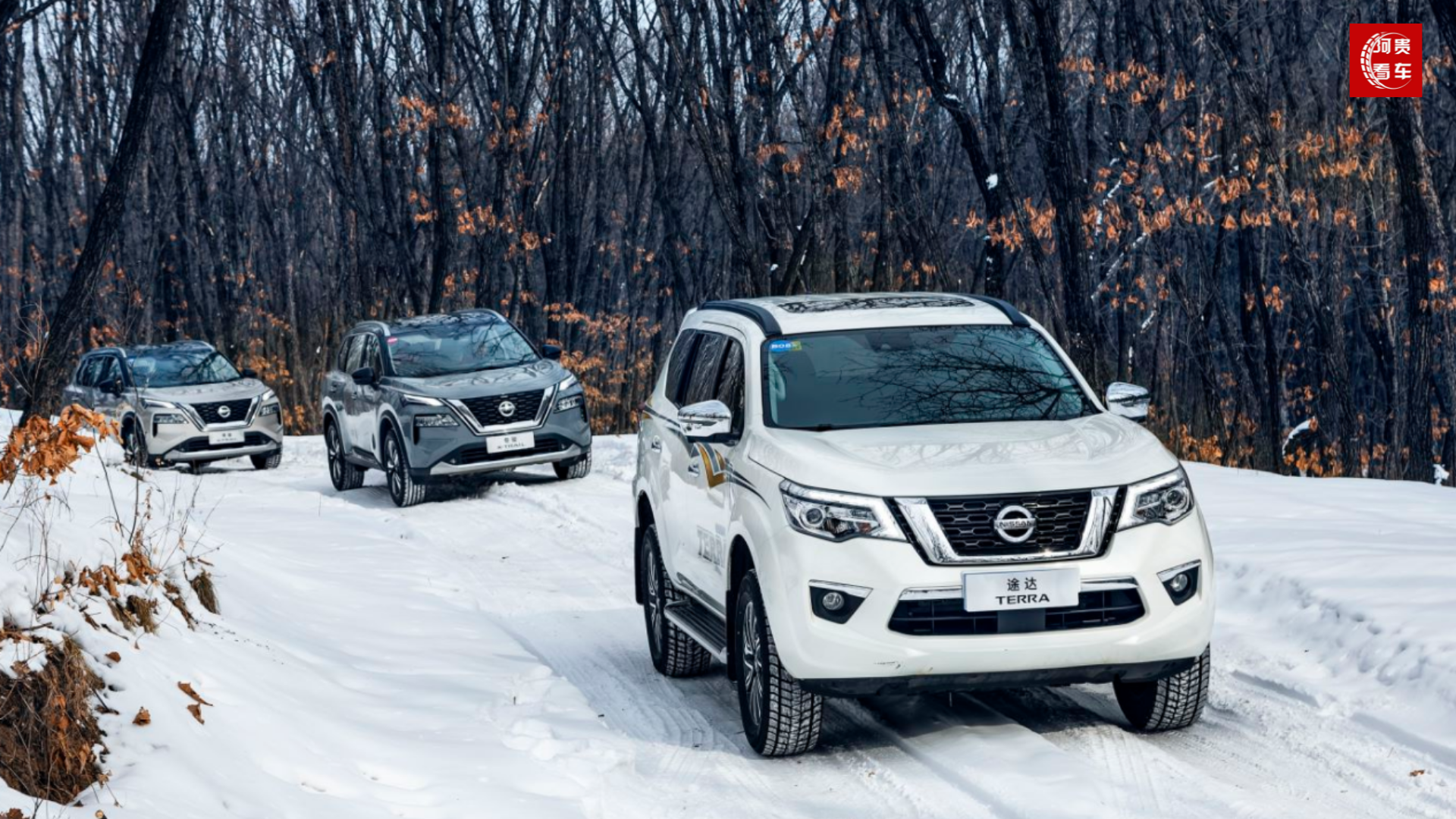 �����ղ�SUV�����״μ�����ս��ѩ��Ե����ֹ�Ǵ̼�����˵�