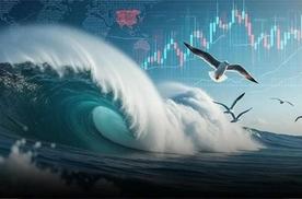 葛卫东“盯上”这只，海洋经济彻底火了！