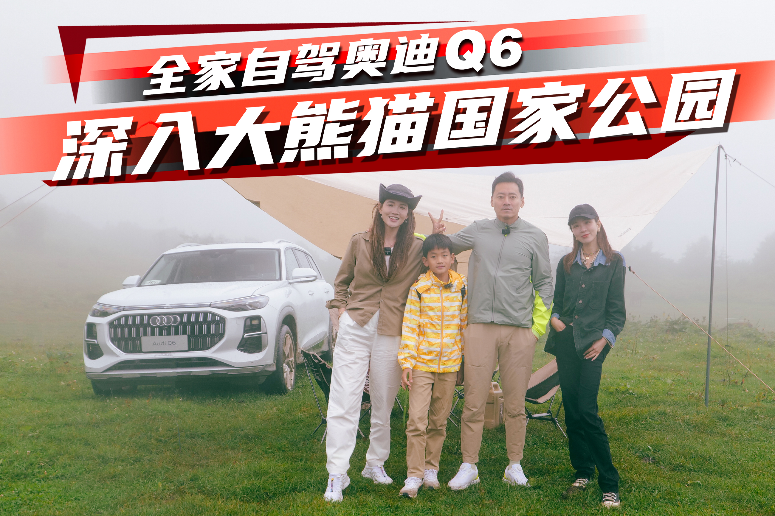 ȫ�Ҷ��������£����µ�Q6�������è���ҹ�԰حҰ��11