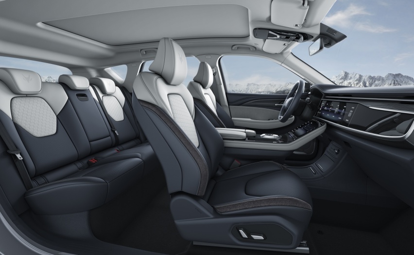 手握30万，选极狐阿尔法T还是特斯拉Model Y？