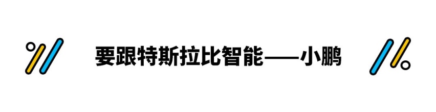 动力比本田还强！这些中国品牌超良心 堪比丰田本田特斯拉！