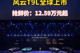 智美大五座风云T9L全球上市，配置拉满，价格是真到位！