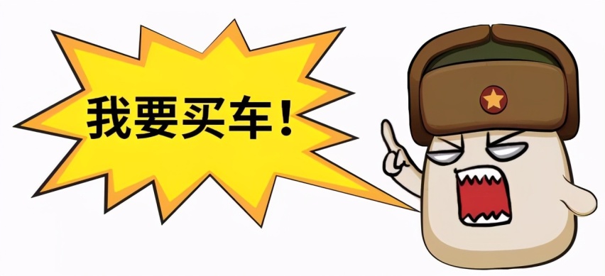 从性价比角度看，哪几类车型值得大家看？