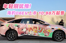 年轻别犹豫！海豹06EV上市10.98万元起售