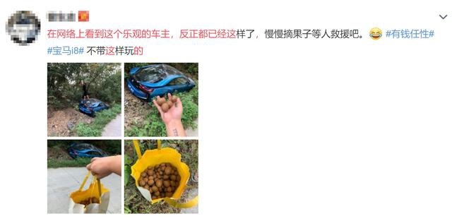 200万的宝马i8开进山沟里摘猕猴桃,网友:故意开下去垫脚的