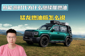 新能源时代为什么继续推燃油 看看哈弗猛龙燃油版怎么说