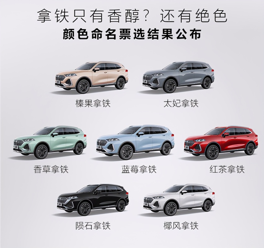 WEY公布其全新SUV拿铁车身颜色名称 不同颜色更多选择