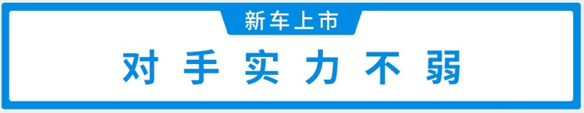 18.58万元起，中国品牌性能车正式上市，帅呆了
