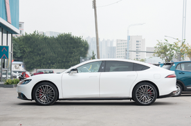 与宝马7系同级，车长近5米3，续航810公里，不足30万，名气却不高