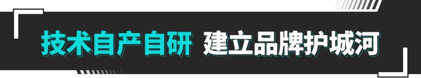 均价比奥迪还高！这中国品牌交付超30万辆 凭啥这么狠？