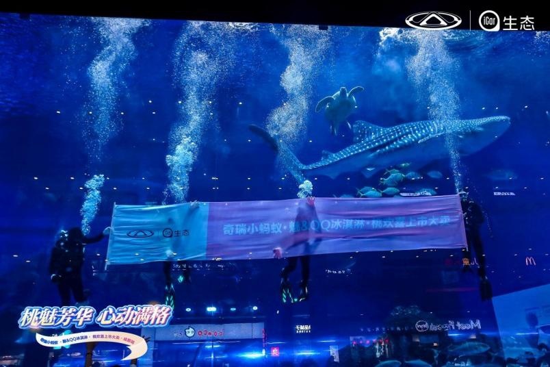 奇瑞微型车家族再添两员：专为女性打造 可爱度“超标”