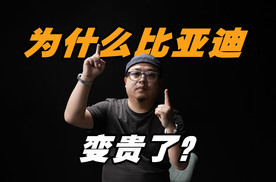 为什么涨价？当海鸥卖到10万，比亚迪真的飘了吗