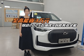 至高能省3万元，2025款瑞虎9到底有多全能？