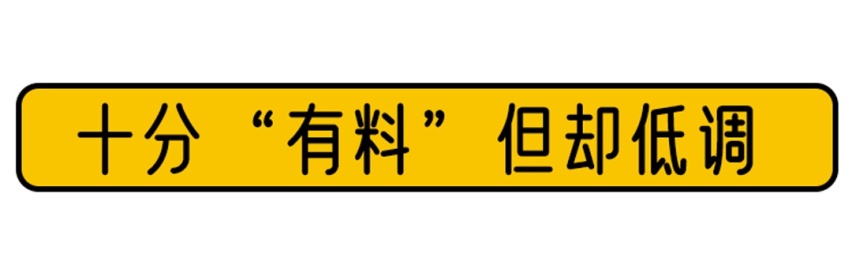 24万起的最美大众到底有多美？买它不后悔