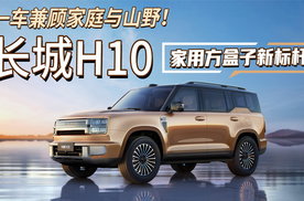 一车兼顾家庭与山野！长城H10 家用方盒子新标杆