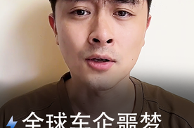 全球车企噩梦，我们当成卖点？