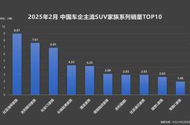 SUV出海新名片！比亚迪宋家族实现国内国外销量双高