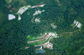 农业为基 汽车与文旅双驱：良道·蔬蜜院新春蔬享会启动蔬蜜生活