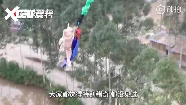 绑猪蹦极景区致歉 开业用猪吸引眼球完后送屠宰场引发网友热议