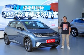 10万能买到的最强代步车 探店2025款比亚迪海豚