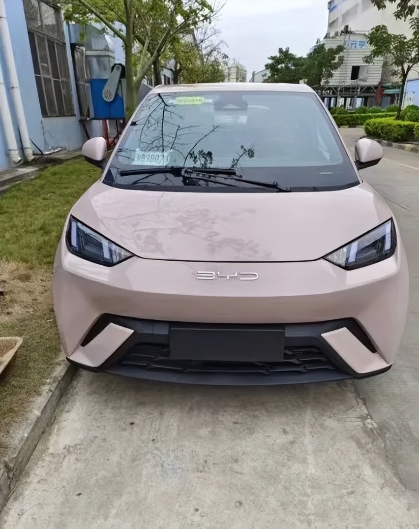宏光MINI EV迎对手？比亚迪新车海鸥实车曝光，售价或在10万内！